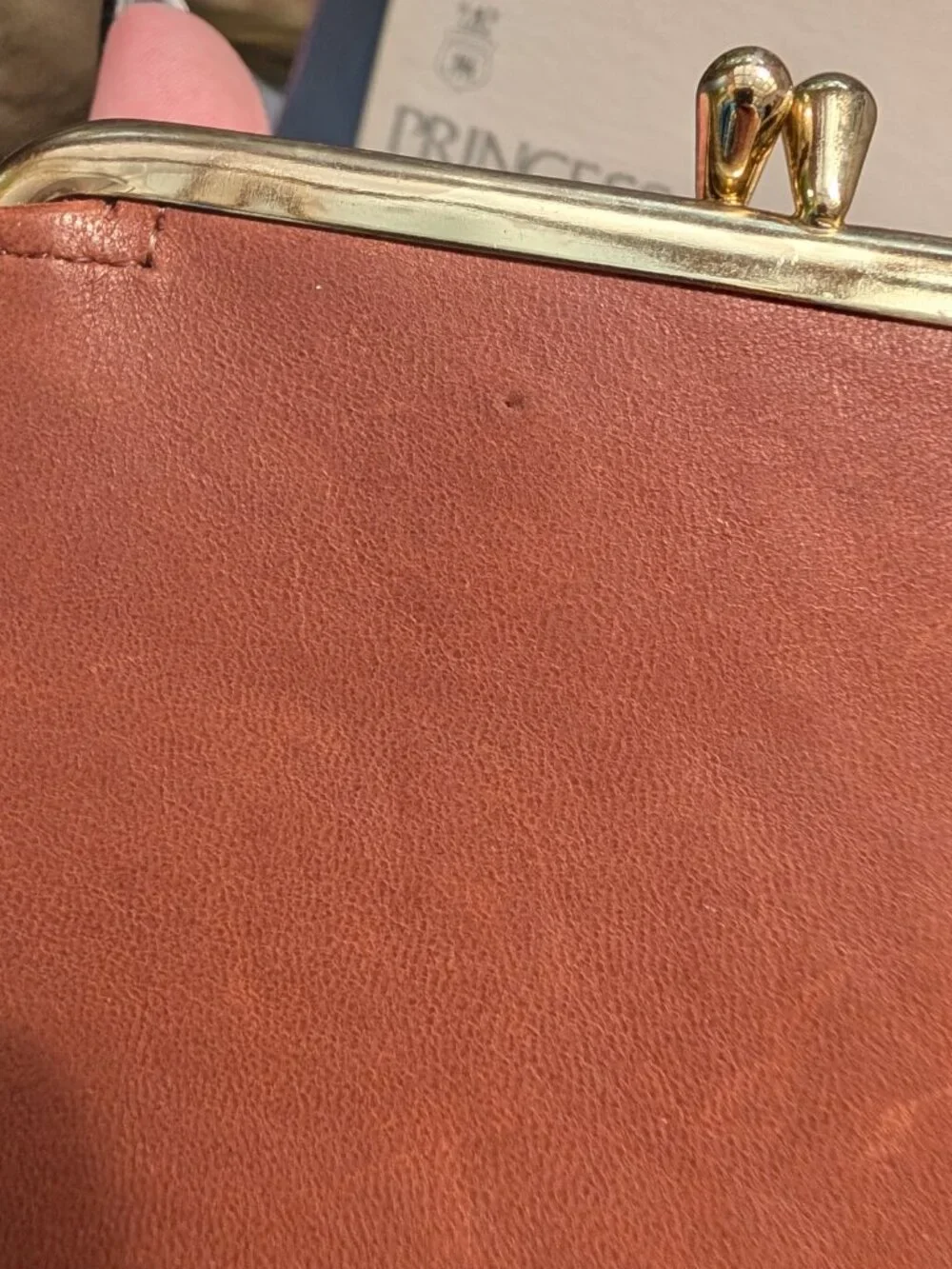 Princess Gardner item id
